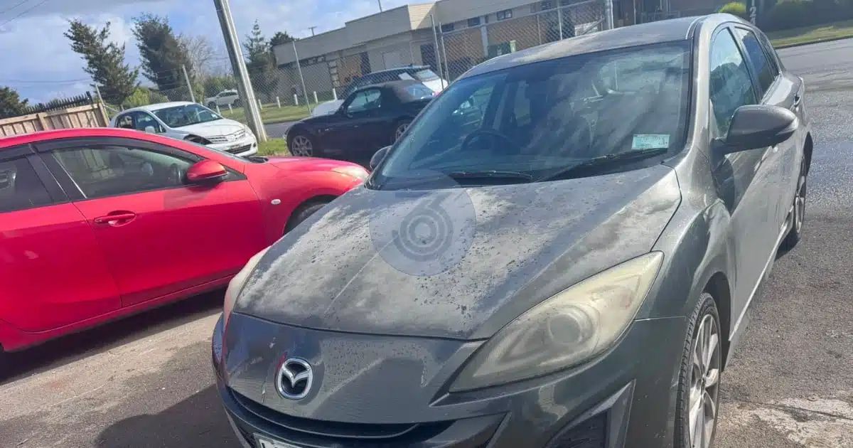 Who Pays Top Dollar for Scrap Cars